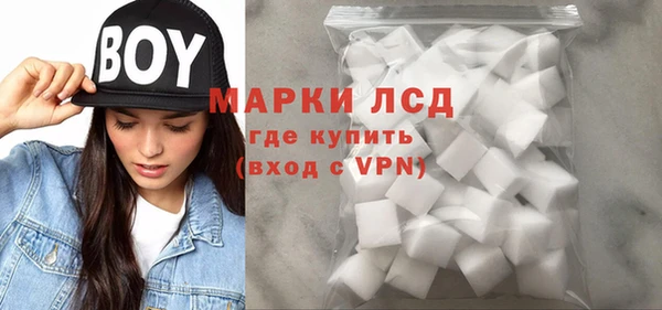 прущие грибы Балабаново