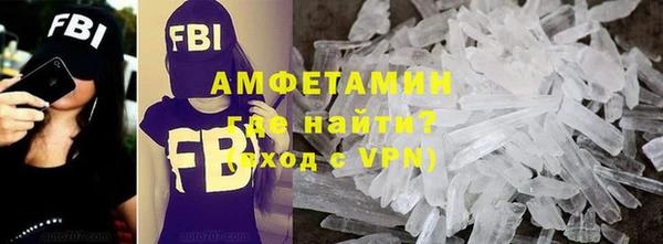 прущие грибы Балабаново
