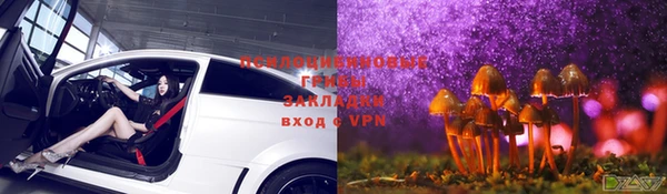 прущие грибы Балабаново