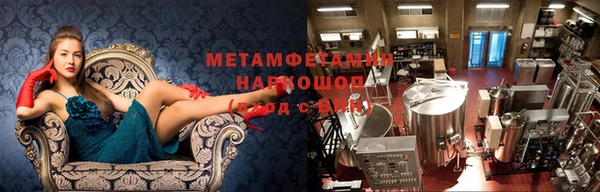 прущие грибы Балабаново