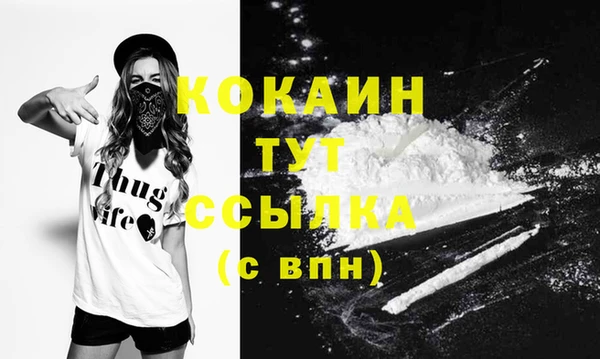 прущие грибы Балабаново