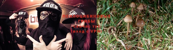 прущие грибы Балабаново