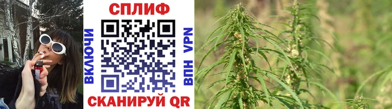 Шишки марихуана индика  где купить   Лесозаводск 